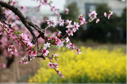 隔音房、隔音降噪、隔音門、隔音材料、吸音材料、硅晶砂、八方聲學